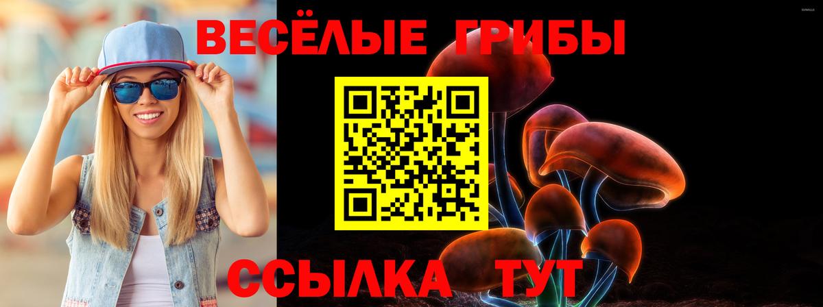 Галлюциногенные грибы Psilocybe Малоярославец